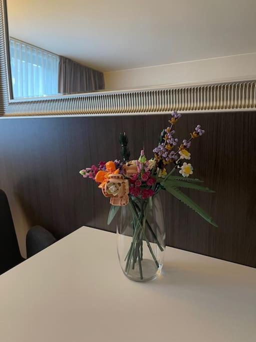 Appartement Gemuetliches 778 Naehe Medienhafen S-bahn Und Free Parken *